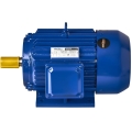 silnik-elektryczny-22kw-380v-kd1813_7.jpg