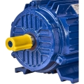 silnik-elektryczny-22kw-380v-kd1813_9.jpg