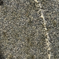 SZLIFIERKA STOŁOWA TARCZOWA DWUKAMIENIOWA 1700W_13.jpg